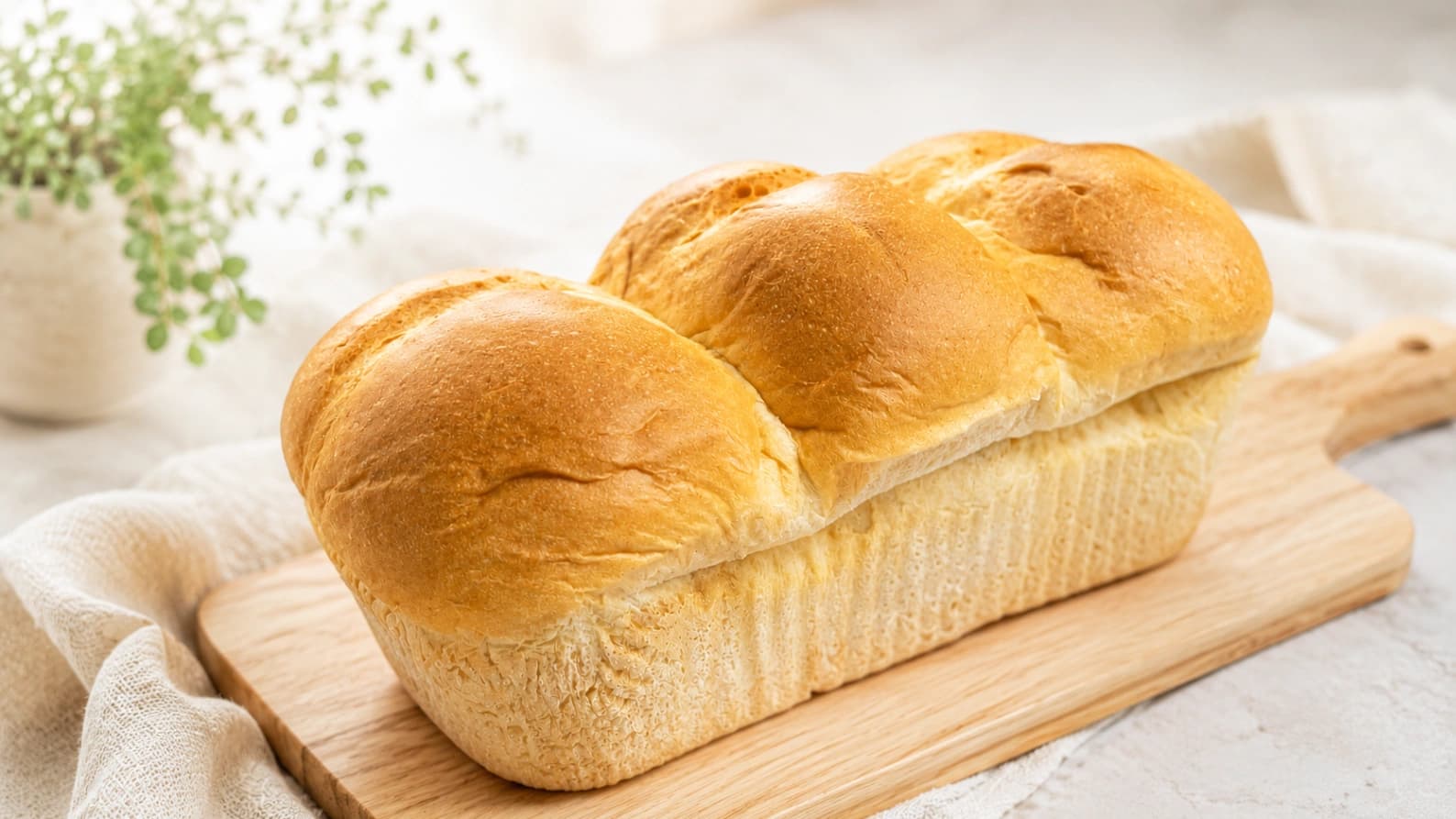 【コストコ新商品】人気のマスカルポーネロールが食パンサイズに！「マスカルポーネブレッド」を食べてみた