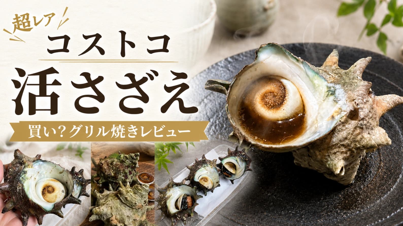 【コストコ】見つけたら即カートイン！幻の「活さざえ」を徹底解剖！コスパと味のリアルな評価